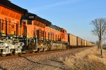 BNSF 3655